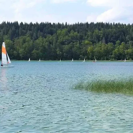 Renove Au Bord Du St Point *