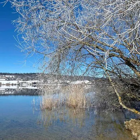 Renove Au Bord Du St Point *
