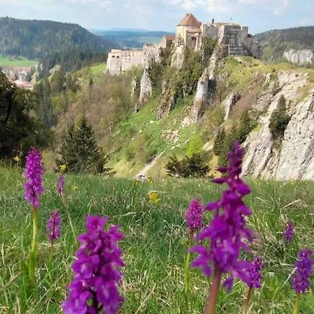 Renove Au Bord Du St Point Montperreux